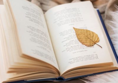 Purposeful Page Turns: Crafting Momentum in Picture Books