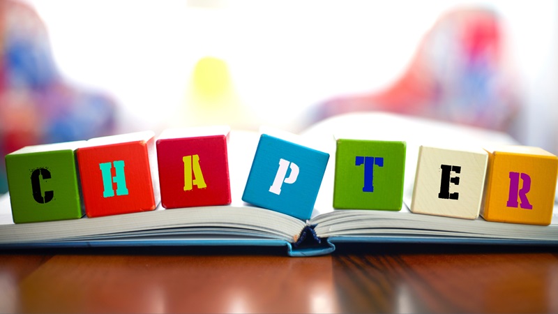 Photo: colorful blocks spelling out the word "chapter"