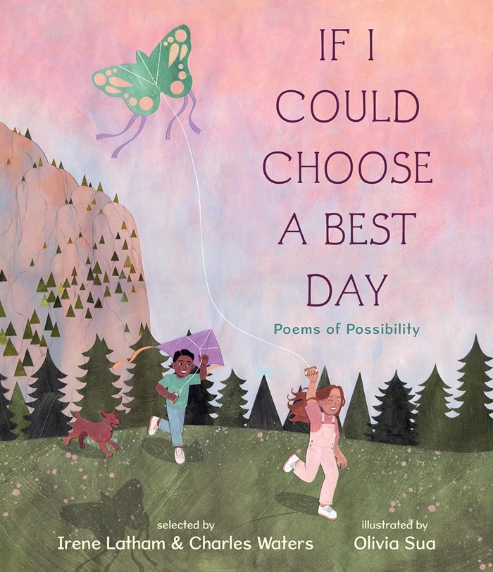 Book cover: If I Could Choose A Best Day