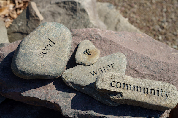 Novels in Verse Are My Language: 3 Verse Novelists Share Their Passion for the Form
