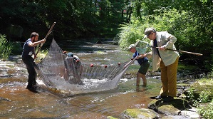 BioBlitz at Boyds Mills