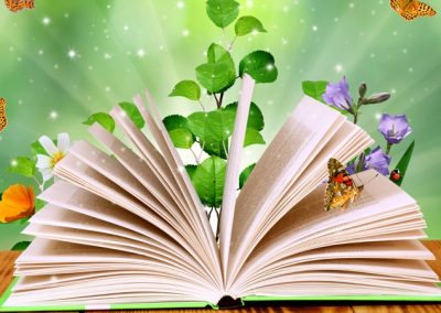3 Questions With Nawal Qarooni & Jasmine Warga About Cultivating Literacy-Focused Lives