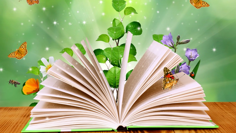 3 Questions With Nawal Qarooni & Jasmine Warga About Cultivating Literacy-Focused Lives