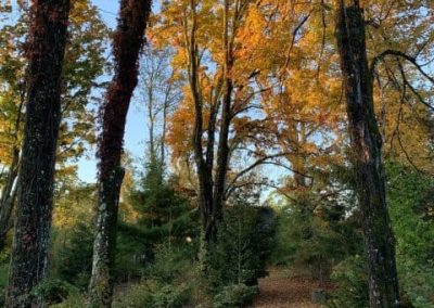 TRAIL TO GRANARY