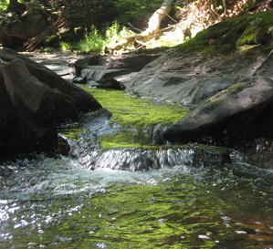 Brookside