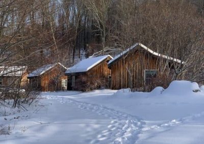 CABIN EXTERIOR