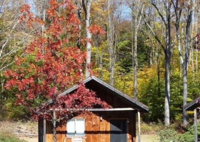 CABIN EXTERIOR